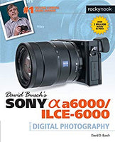 David Busch’s Sony Alpha a6000/ILCE-6000 Guide